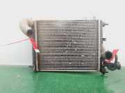 Radiator 253101C106 Hyundai Getz Schrägheck 1.6i 16V (G4ED)