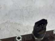 Einspritzdüsen Düsenstock 7700111013 Renault Megane (BA) Schrägheck 5-drs 1.9dCi (F9Q-732)