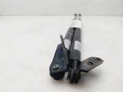 Gasdruckfedern Set Hinten EG2163620D Mazda CX-7 SUV 2.2 MZR-CD 16V (R2)