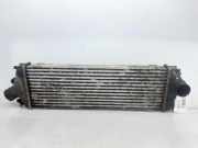 Ladeluftkühler 8200411160C Opel FURGÓN/Kombi (07.2006 =>) Kombi 2.7t L1H1 114 CV / 84 KW