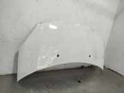 Motorhaube 7901R1 Citroën C3 (SC) Schrägheck 5-drs 1.6 BlueHDI 75 (DV6FE(BHW))