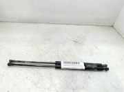 Gasdruckfedern Set Hinten A2108800429 Mercedes-Benz E (W210) Limousine 3.2 E-320 V6 18V (M112.941)