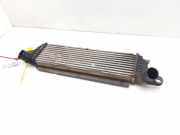 Ladeluftkühler 8200140970 Renault Kangoo (KC) Großraumlimousine 1.9 dCi 4x4 85 (F9Q-790)