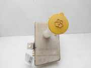 Scheibenwaschbehälter 28910BM415 Nissan Almera (N16) Limousine 1.5 16V (QG15DE)