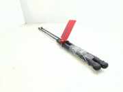 Gasdruckfedern Set Hinten 9647295480 Citroën C4 Berline (LC) Schrägheck 5-drs 1.6 HDi 16V (DV6ATED4(9HX))