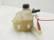 Ausgleichbehälter - 217100005R Renault Megane III Berline (BZ) Schrägheck 5-drs 1.2 16V TCE 115 (H5F-400(H5F-A4))