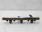 Einspritzdüsen Düsenstock 9640387980 Peugeot 406 (8B) Limousine 2.0 HDi 90 (DW10TD(RHY))