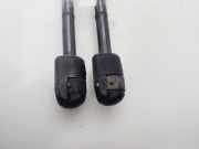 Gasdruckfedern Set Hinten 9800717680 Citroën CITROEN LIM. Tonic 95 CV / 70 KW