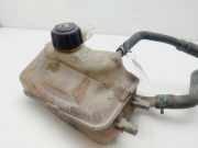 Ausgleichbehälter - - 217100005R Renault Scénic III (JZ) Großraumlimousine 1.9 dCi (F9Q-872(F9Q-P8))