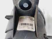Nebelscheinwerfer Links Vorne 8200002469 Renault Clio III (BR/CR) Schrägheck 1.4 16V (K4J-780)