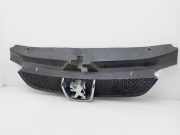 Grill 9631250277 Peugeot 406 (8B) Limousine 2.0 HDi 110 (DW10ATED(RHZ))