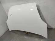 Motorhaube 51810378 Fiat Doblo Cargo (263) Ch.Cab/Pick-up 1.6 D Multijet (198.A.3000)