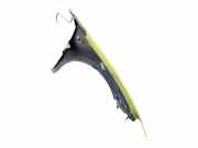 Kotflügel Links Vorne 6J0821021D Seat Ibiza IV (6J5) Schrägheck 5-drs 1.9 TDI 105 (BLS)