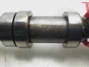 Nockenwelle 03L101 Seat Leon (1P1) Schrägheck 5-drs 1.6 TDI 16V 105 (CAYC)