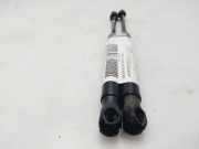 Gasdruckfeder Set Vorne BJ3216C826AA Land + Range Rover Range Rover Evoque (LVJ/LVS) SUV 2.2 TD4 16V (224DT(Euro 5))