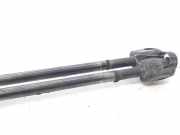 Gasdruckfedern Set Hinten 2S61A406A10AB Ford Fiesta 5 (JD/JH) Schrägheck 1.4 16V (FXJB)