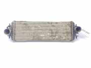 Ladeluftkühler 7700312903 Renault Trafic New (FL) Van 1.9 dCi 100 16V (F9Q-760)