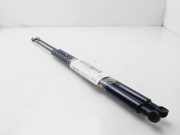 Gasdruckfedern Set Hinten 51248402405 BMW X5 (E53) SUV 3.0d 24V (M57-D30(306D1))