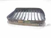 Grill 8159312 BMW 5 serie (E39) Limousine 530d 24_V (M57-D30)
