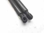 Gasdruckfedern Set Hinten 00520315180 Fiat 500X (334) SUV 1.4 T-Jet Easypower 16V (55277701)