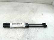 Gasdruckfeder Set Vorne CK5216C826AC Land + Range Rover Range Rover Sport (LW) Geländewagen 3.0 TDV6 (306DT)