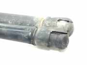 Gasdruckfedern Set Hinten 8731K0 Citroën C4 Coupé (LA) Schrägheck 3-drs 1.6 HDi 16V 110 (DV6TED4(9HY))