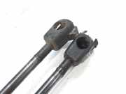 Gasdruckfedern Set Hinten 1212586 Ford (CBK) Trend 80 CV / 59 KW