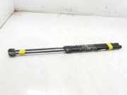 Gasdruckfeder Set Vorne 46784590 Fiat Stilo (192A/B) Schrägheck 1.6 16V (182.B.6000)