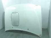 Motorhaube 651007F030 Nissan Terrano II (R20/TR50) Geländewagen 2.7 TDi (TD27TI)