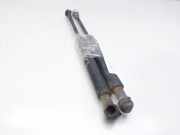 Gasdruckfedern Set Hinten XS41F406A10 Ford Focus 1 Limousine 1.8 TDdi (C9DB)