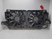 Kühlerventilator A9069060100 Mercedes-Benz Sprinter 3,5t (906.63) Van 313 CDI 16V (OM646.986(Euro 4 (D4)))