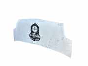 Motorhaube 6510000QAF Nissan Interstar (X70) Ch.Cab/Pick-up 2.5 dCi 16V 120 (G9U-720)