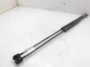Gasdruckfedern Set Hinten 2117570029 Mercedes-Benz E (W211) Limousine 2.7 E-270 CDI 20V (OM647.961)