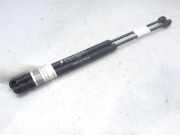 Gasdruckfedern Set Hinten 0046744596 Fiat Punto II (188) Schrägheck 1.4 16V (843.A.1000)
