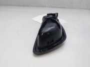 Türgriff Innen Links Vorne 806719687R Renault MEGANE IV BERLINA 5P Zen 110 CV / 81 KW