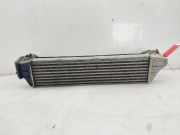 Ladeluftkühler 17512246795 BMW 3 serie (E46/4) Limousine 320d 16V (M47-D20(204D1))