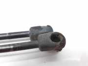 Gasdruckfedern Set Hinten 2S61A406A10AC Ford Fiesta 5 (JD/JH) Schrägheck 1.4 TDCi (F6JA)