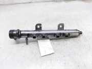 Einspritzdüsen Düsenstock 0445216046 Land + Range Rover Range Rover Sport (LW) Geländewagen 3.0 TDV6 (306DT)