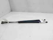 Gasdruckfedern Set Hinten 51248402405 BMW (E53) 3.0d 218 CV / 160 KW