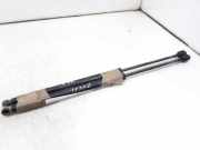 Gasdruckfedern Set Hinten 817701C001 Hyundai Getz Schrägheck 1.1i 12V (G4HD)