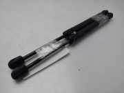 Gasdruckfedern Set Hinten 8H0827552B Audi A4 Cabriolet (B6) Cabrio 2.4 V6 30V (AMM)