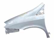 Kotflügel Links Vorne 1493183088 Fiat Ulysse (179) Großraumlimousine 2.0 JTD 16V (DW10TED4(RHW))