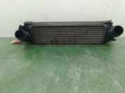 Ladeluftkühler 17517600530 BMW 1 serie (F21) Schrägheck 3-drs 116d 2.0 16V (N47-D20C)