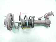 Stoßdämpfer Rechts Vorne 54302AV425 Nissan Primera (P12) Schrägheck 1.9 dCi (F9Q) 2005