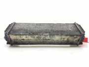 Ladeluftkühler 17517809321 BMW X6 (E71/E72) SUV 3.0 35xDrive 24V (M57N2(306D5)) 2008