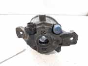 Nebelscheinwerfer Links Vorne 8200002469 Renault Espace (JK) Großraumlimousine 2.0 dCi 16V 175 FAP (M9R-760)