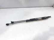 Gasdruckfedern Set Hinten 817701C001 Hyundai Getz Schrägheck 1.1i 12V (G4HD)