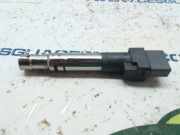 Zündspule 022905715B Volkswagen (7LA) 3.2 V6 24V 220 CV / 162 KW