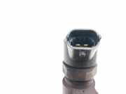 Kraftstoff-Injector 0445110165 Opel C BERLINA GTS 120 CV / 88 KW