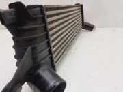 Ladeluftkühler 8200140970 Renault Kangoo (KC) Großraumlimousine 1.9 dCi 4x4 85 (F9Q-790)